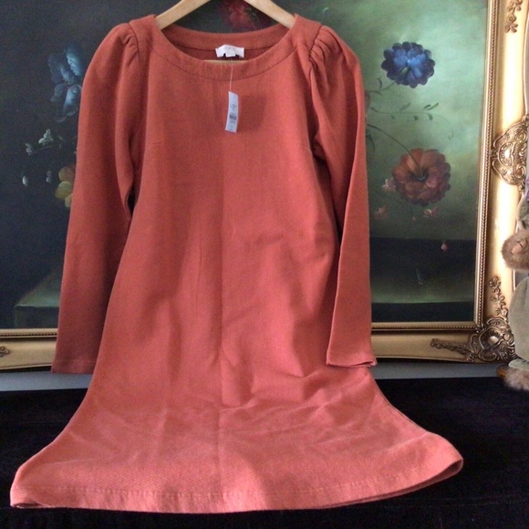 NWT ANN TAYLOR LOFT PUFF SLEEVE SWEATSHIRT Cotton DRESS Auburn Size 8 QQ - Picture 1 of 8